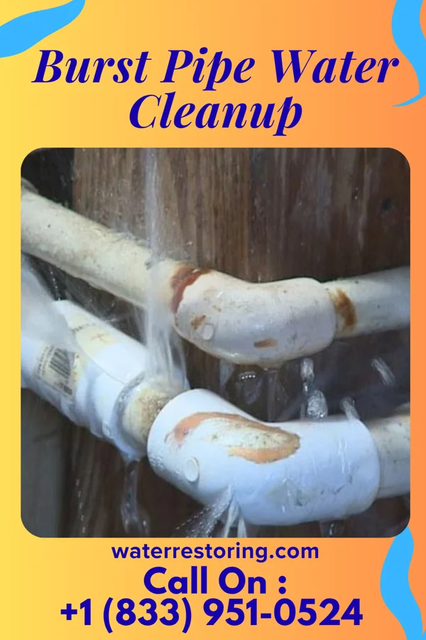 Burst Pipe Water Cleanup in Franklin, VA