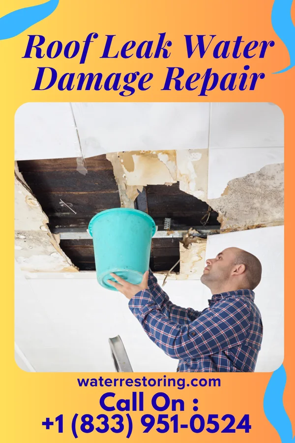 Roof Leak Water Damage Repair in Franklin, VA